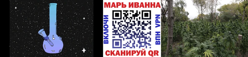 Конопля ГИДРОПОН  Ростов-на-Дону 